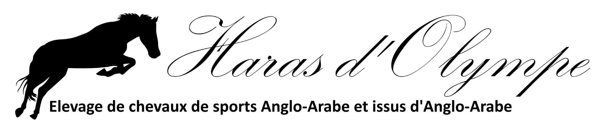 logo haras d'olympe
